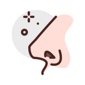 Nose